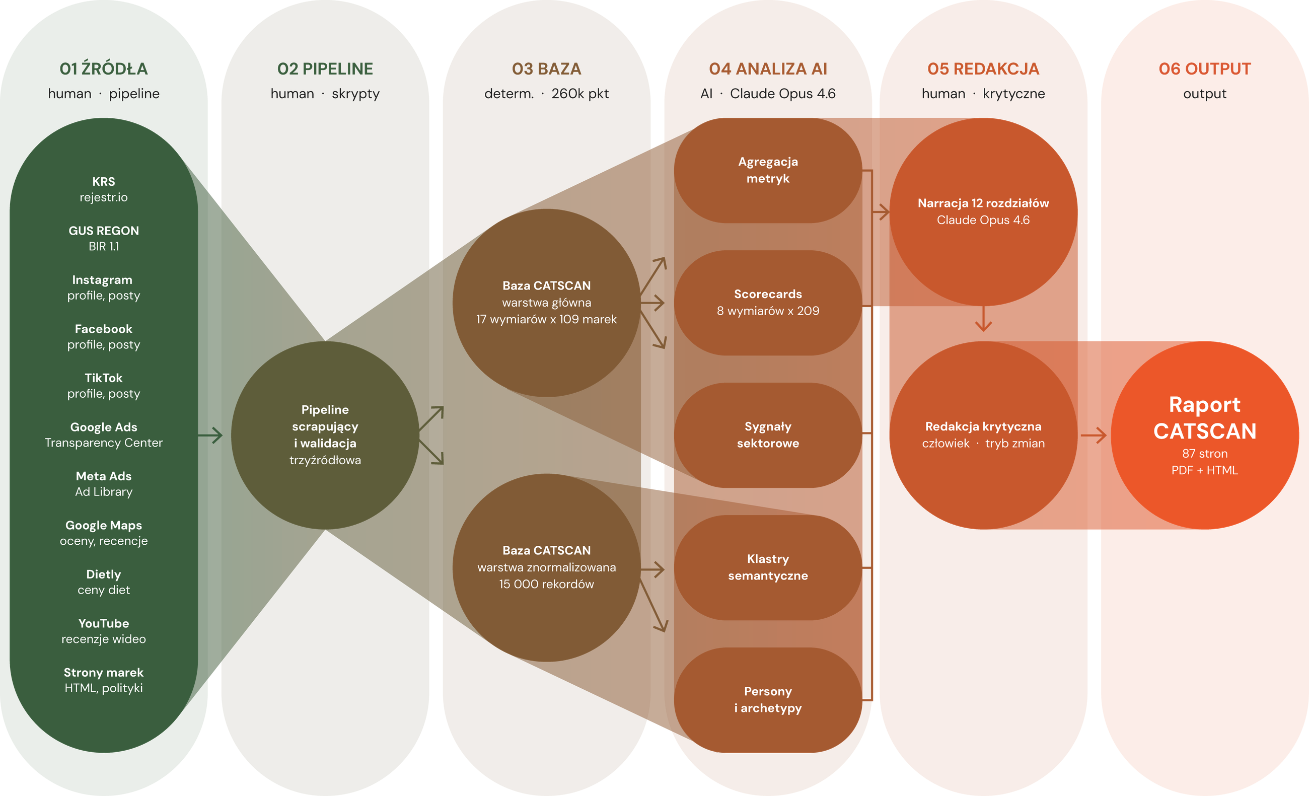 Diagram procesu badawczego CATSCAN - 6 etapów od źródeł do output